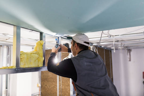 Best Insulation Maintenance and Repair in Clyde, TX