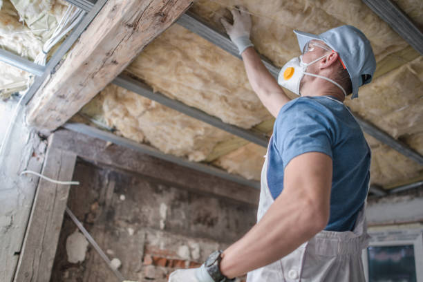Best DIY Insulation Kits and Guidance in Clyde, TX