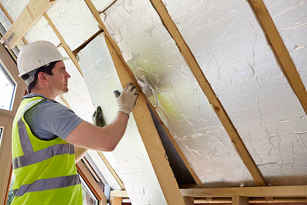 Best Eco-Friendly Insulation in Clyde, TX
